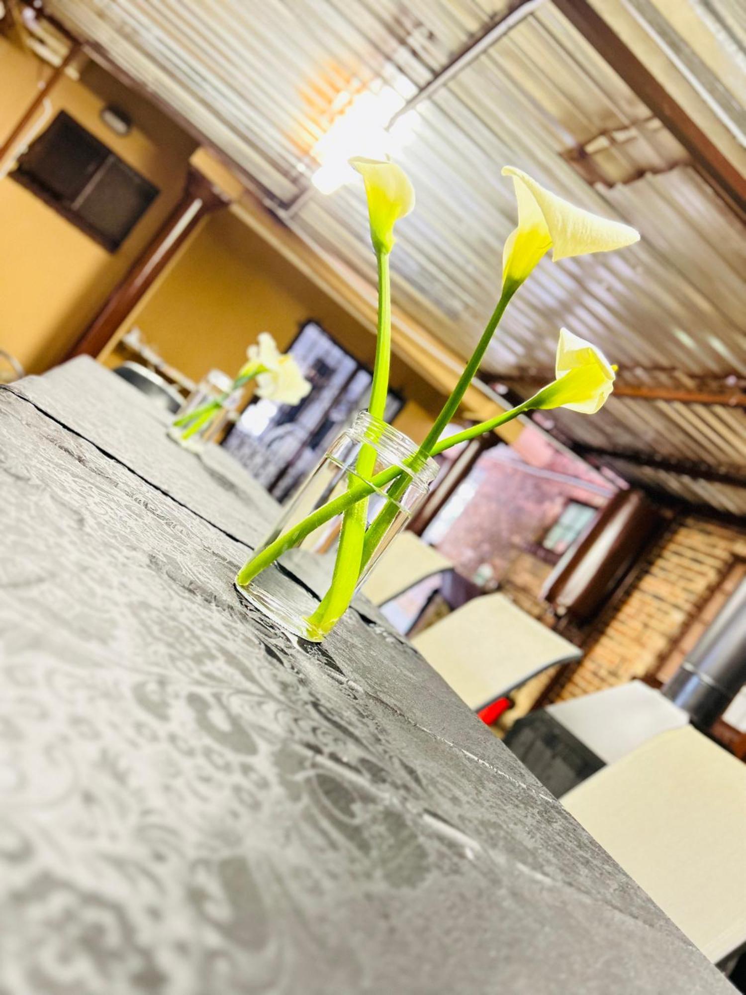 Duvha Guesthouse Graskop Esterno foto